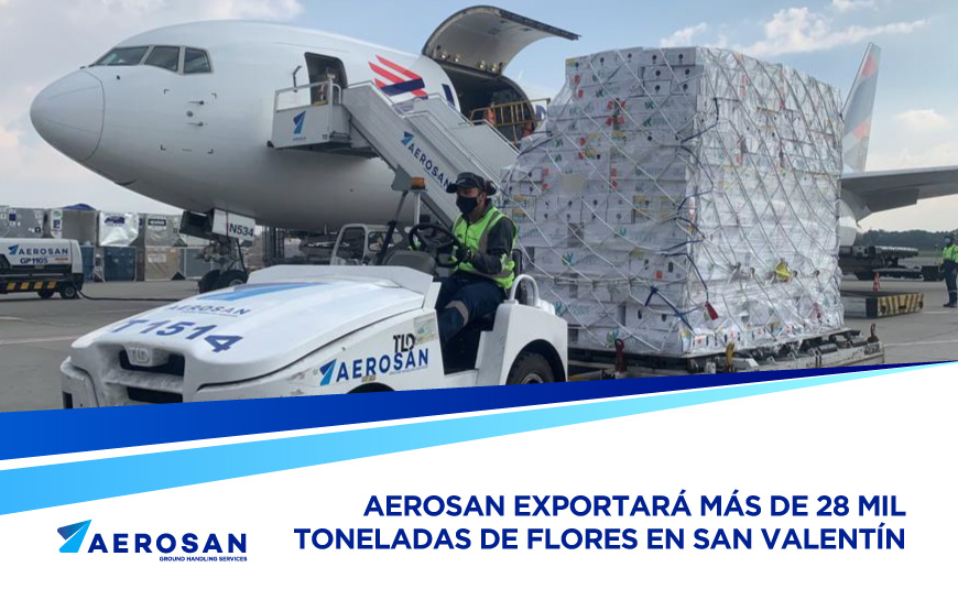 Aerosan exportará más de 28 mil toneladas de flores en San Valentín